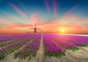 Dit zijn de 5 beste 3D-printbedrijven van Nederland